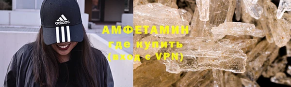 шишки Абаза