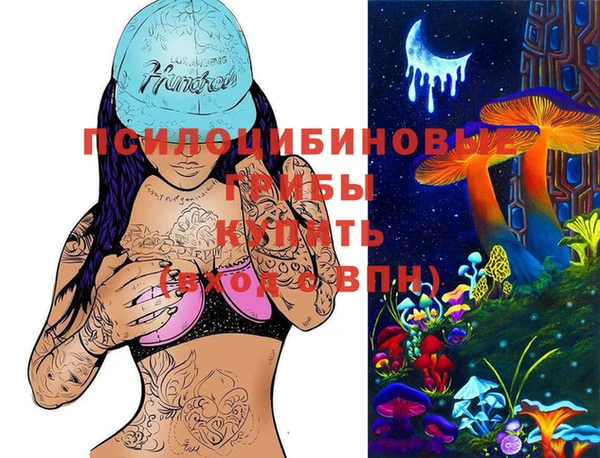 гашик Алзамай