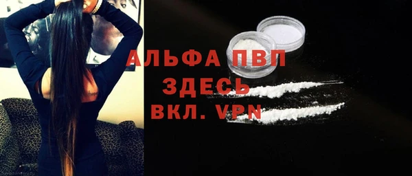 гидра Покачи