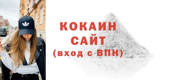 гидра Покачи