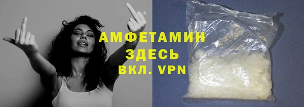 шишки Абаза