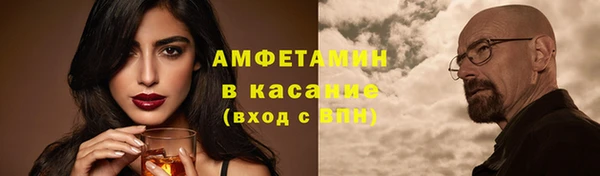 шишки Абаза