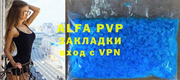шишки Абаза