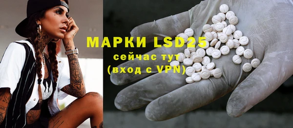 шишки Абаза